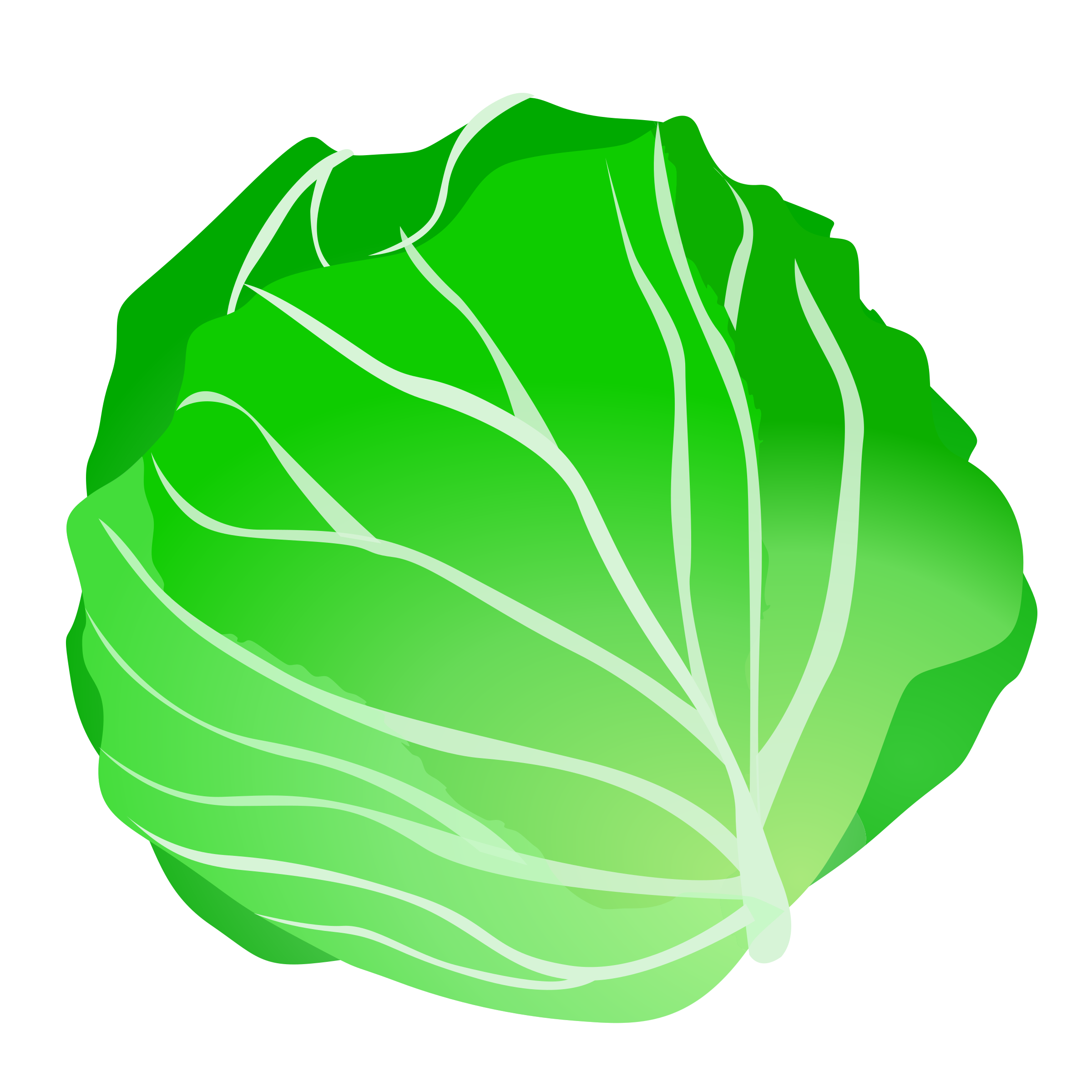 Iceberg