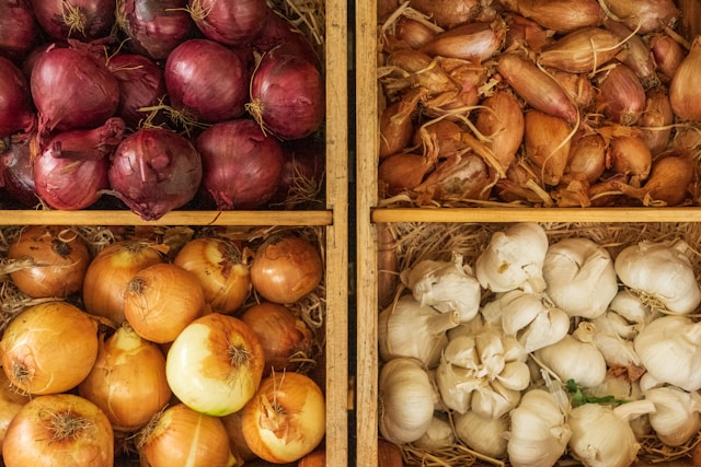 Onions 2