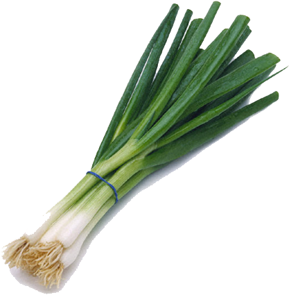 Spring Onion